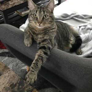 Meet your Posher, Heather